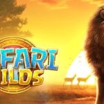 Selamat berburu di Safari Wilds, dan semoga keberuntungan selalu berpihak pada Anda!